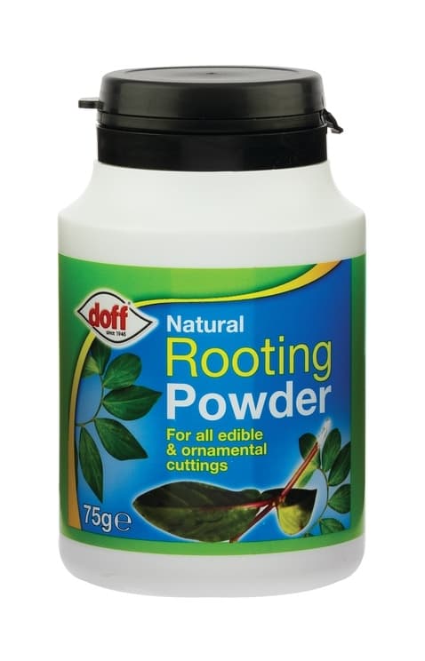 Organic Rooting Powder